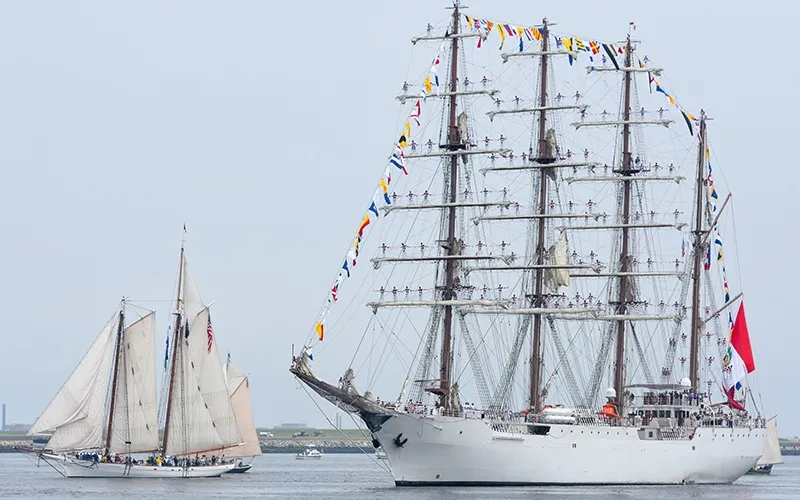 Tall Ships in a harbor